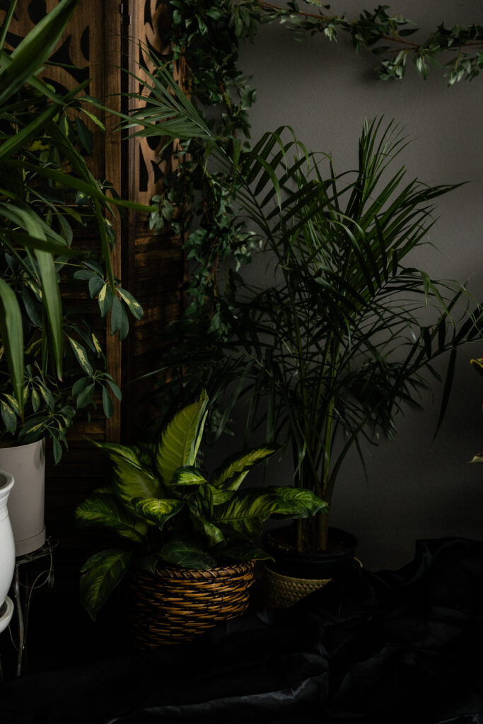 Plant boudoir set